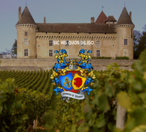 wine-and-castle-accueil-avec-vigne